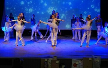 DSC02653