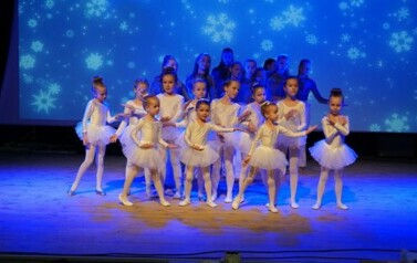 DSC02649
