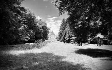 batch_IMG_0953