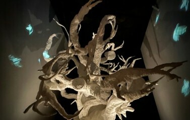 batch_IMG_0933