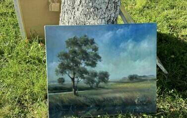 449065450_7954306267967364_5834432116054675197_n