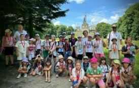 batch_IMG_0954
